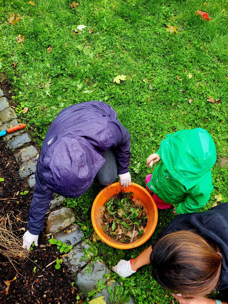 2024-Kindervilla-Brachelen-Gartenaktion-Herbst-09