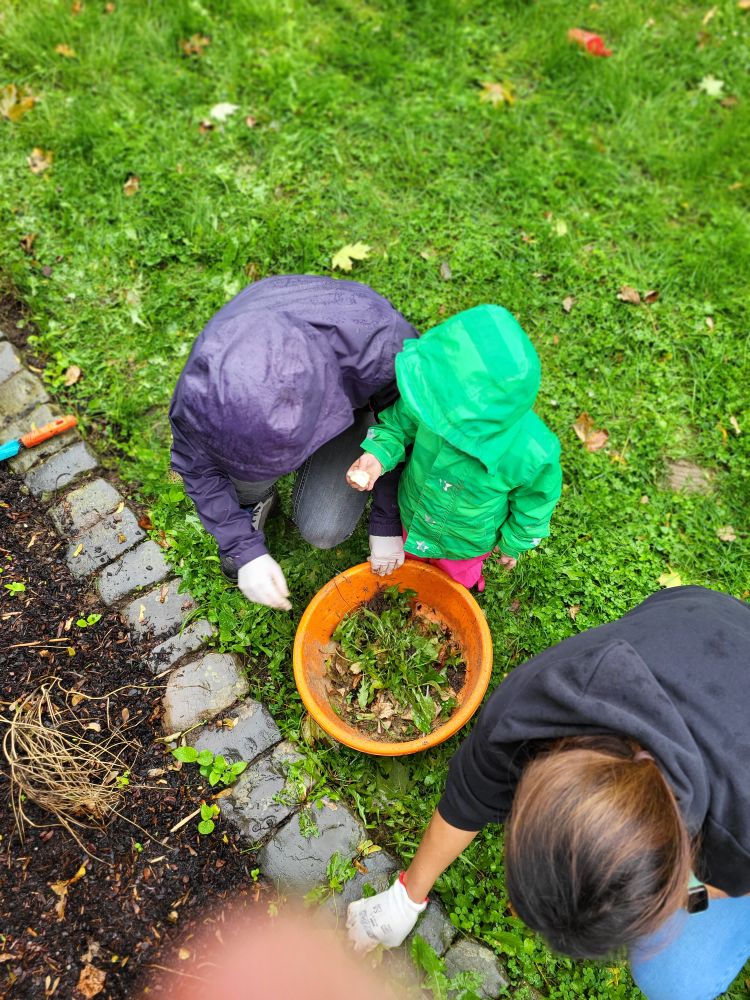 2024-Kindervilla-Brachelen-Gartenaktion-Herbst-10