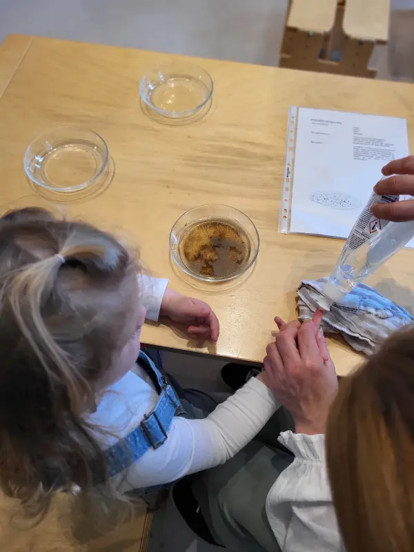 2025-06-Kindervilla-Brachelen-Forschertag49