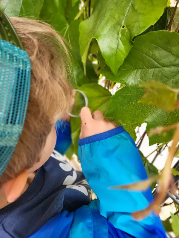 2025-06-Kindervilla-Brachelen-Forschertag54