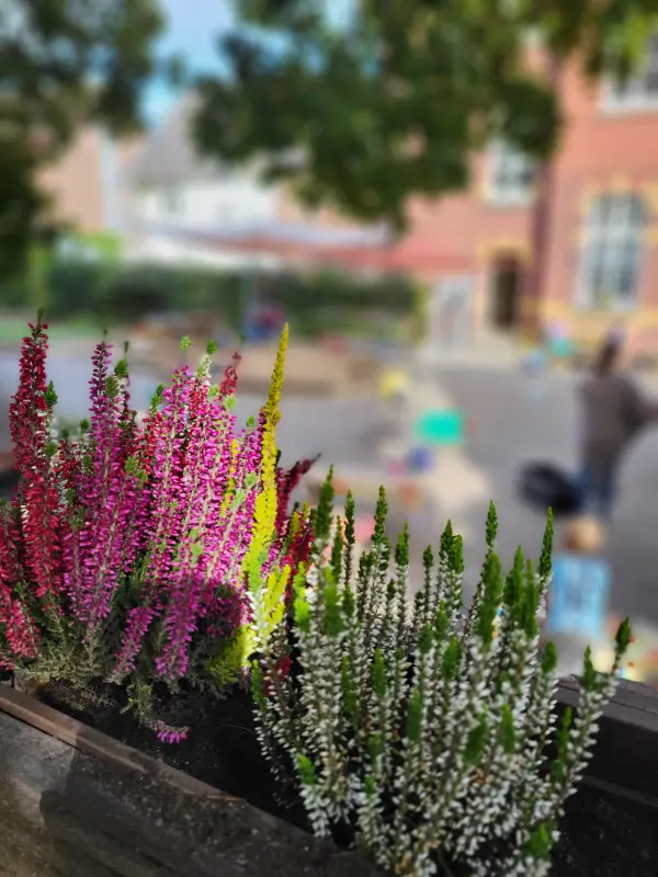 2025-Kindervilla-Brachelen-Herbstaktion-15