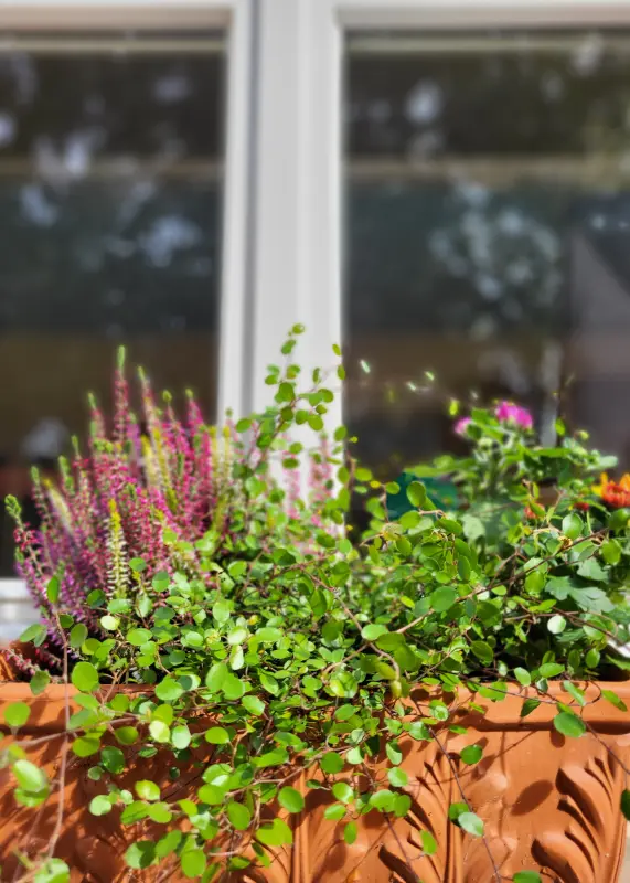 2025-Kindervilla-Brachelen-Herbstaktion-16