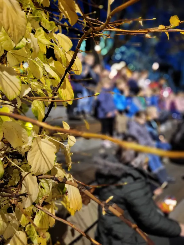 2025-Kindervilla-Brachelen-St-Martin-15