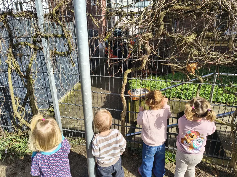 2026-Kindervilla-Brachelen-Großbaustelle-Außengelände-03